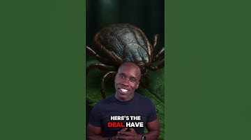 Ticks can live for years without feeding. Truth or Trash Episode 222 #biology #science #stem