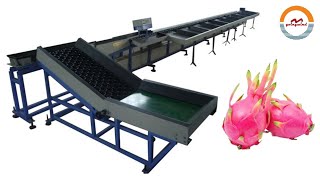 Celebrity Industrial Pitaya Weight Sorting Grading Machine GWE-21000 Automatic Dragon Fruit Sorter Grader Profile