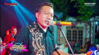 CAMELIA MUSIC - IBU KOTA - MARLIN - PEMUDA NGETUK BERSATU 2024 GUNUNG WUNGKAL PATI