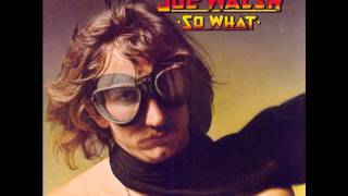 Joe Walsh - Turn To Stone
