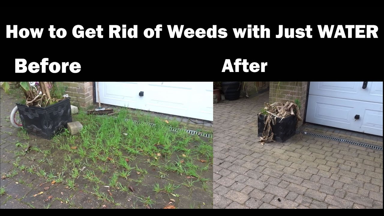 How to Get Rid of Driveway Weeds With Just WATER! 6 Months later NO