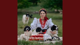 Sariti Canii Mei Ca-I Bai