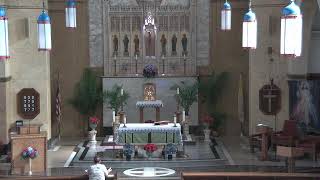 St Francis English Mass - 9am