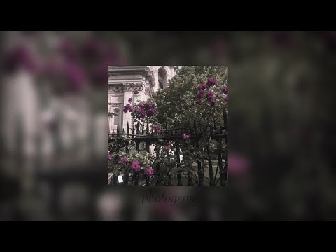 Billie Eilish Ilomilo Slowed Reverb 
