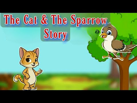 The Cat and The Sparrow Story | English fairy tales moral story| Moral Stories Lyrical 2022