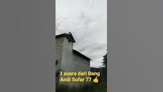 mix 3 suara Andi Sufar 77 👍Piyik Revisi, SP Raja Liur 77 Dan SP 99 jt