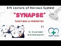 Synapse  functions  properties  dr krunal dabhi md