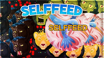 *NEW!* AGMA.IO SELFFEED SERVER IS HERE! *NO POWERUPS & BOTS*