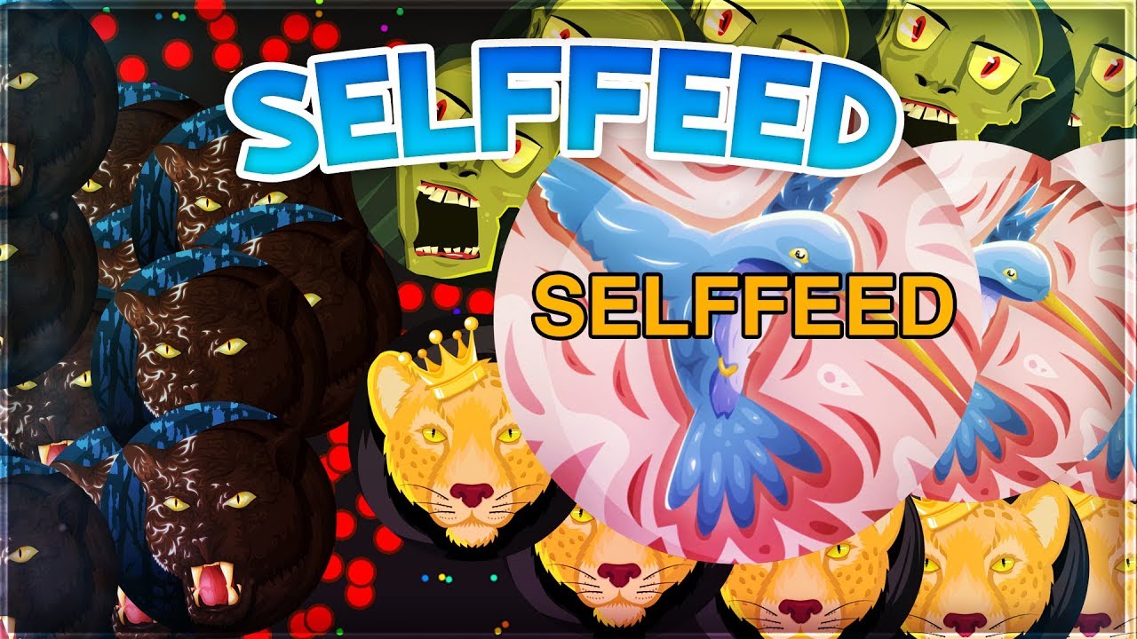 *NEW!* AGMA.IO SELFFEED SERVER IS HERE! *NO POWERUPS & BOTS*