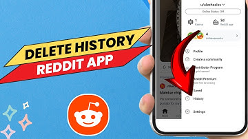 How To Delete History on Reddit App - Easy Guide