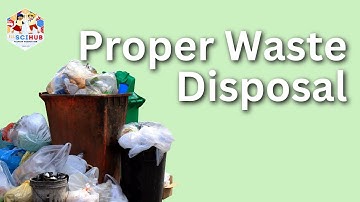Biodegradable vs Non-Biodegradable: Science of Waste & Proper Disposal