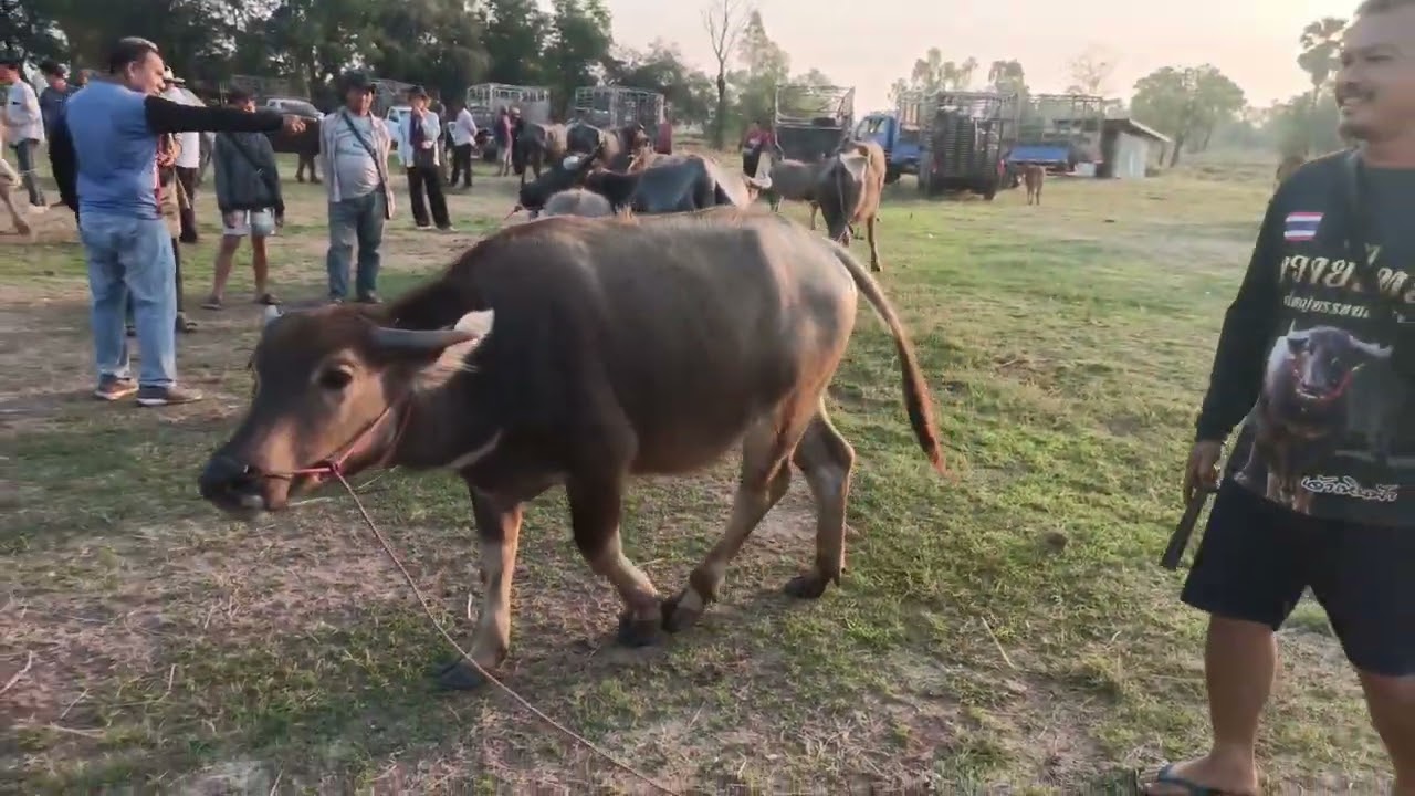 3มีนาคม69 ตลาด บ้านหนองไฮ อ.หนองเรือ จ.ขอนแก่น