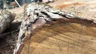 How We Decide Where to Cut a Log