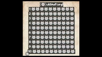 الكل احتار عن حل اللغز  لوعرفت اللغز فأنت عبقري مااجمل صوت القران الكريم
