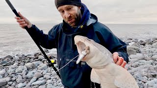 Bristol Channel Fishing- Beautiful Venues And BIG Fish (Eventually)