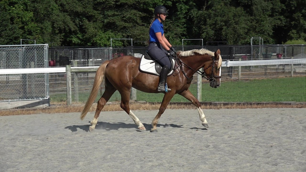 Holly 8 8 25 brooke riding - YouTube