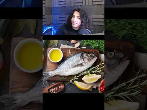 تصور کن یه ماهی باشی
