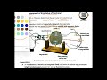 Measurment of Charge to Mass value of Electron