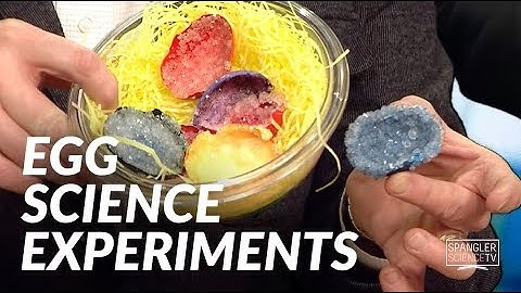 Egg Science Experiments