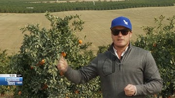 How farmers protect crops against winter weather