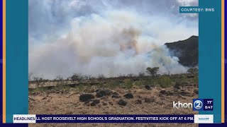 Xeric plants could help Hawaii wildfire season