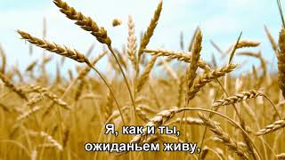 Русское Поле - Юрий Гуляев (1971) (Subtitles)