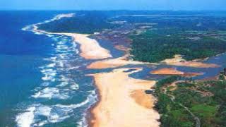 Marine vertebrate | Wikipedia audio article