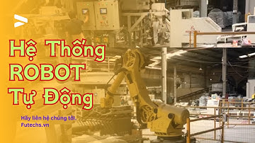 Hệ Thống Robot Bốc Xếp Bao Lên Pallet Tự Động