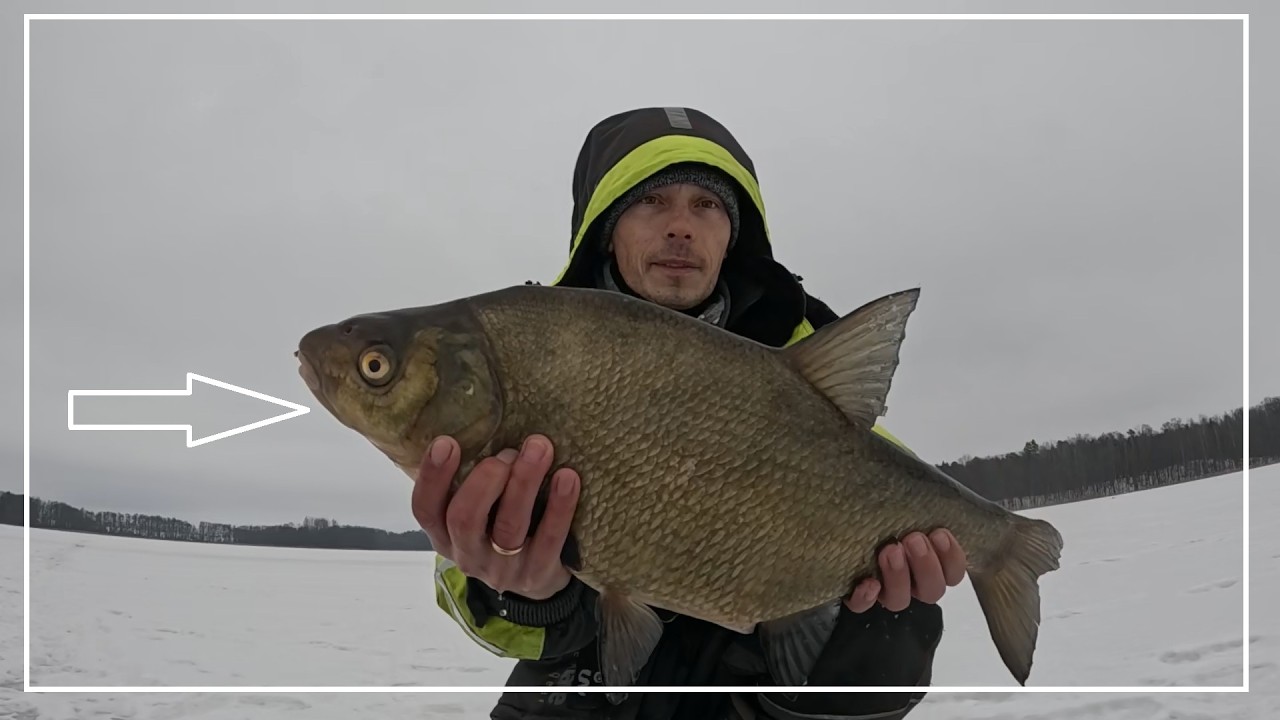 W końcu go złowiłem ! ŻYCIOWY LESZCZ z lodu 2026 !