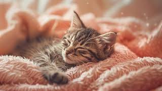 3 Hours of Cat Sleep Music 🌙 Midnight Drift Piano for Sleepy Cats | Mellow Cat Dreams