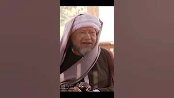 رد فعل شيخ العرب همام لما واحد زعقله في مجلس هوارة Shorts 
