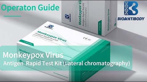 Monkeypox antigen test kit