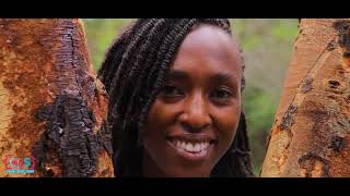 WAWILI WAWILI by Cornerstone SDA Church Choir Nairobi (Wedding Song) |  Video 2022