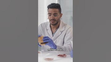 The 5-Second Rule Is a Lie 😱 Here’s What Really Happens