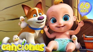 Canción de los animales - Compilado de las mejores Canciones Infantiles | LooLoo