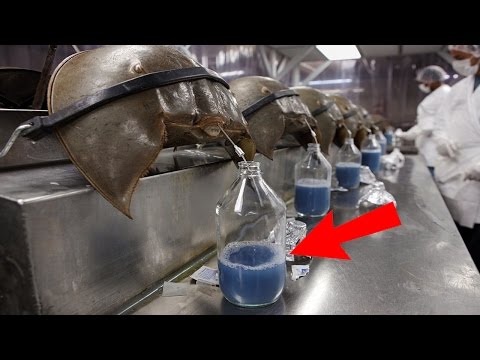 10 Chất Lỏng Đắt Nhất Trên Thế Giới