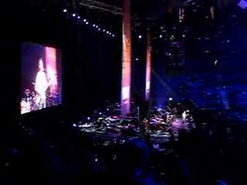Seagull by Paul Rodgers at Led Zeppelin show