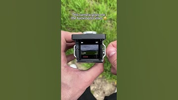 Is this dreamcore or childcore? 🥹 #backrooms #nostalgia #camera