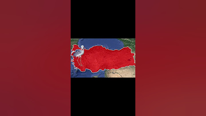 TARİHİN EN ENTERESAN OLAYI - Kartal Leylek Savaşı #shorts p1
