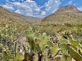 Chihuahuan Desert -- New Mexico