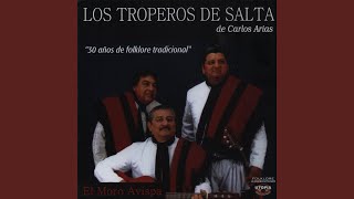 Miniatura de "Los Troperos de Salta de Carlos Arias - Viejo Puestero"