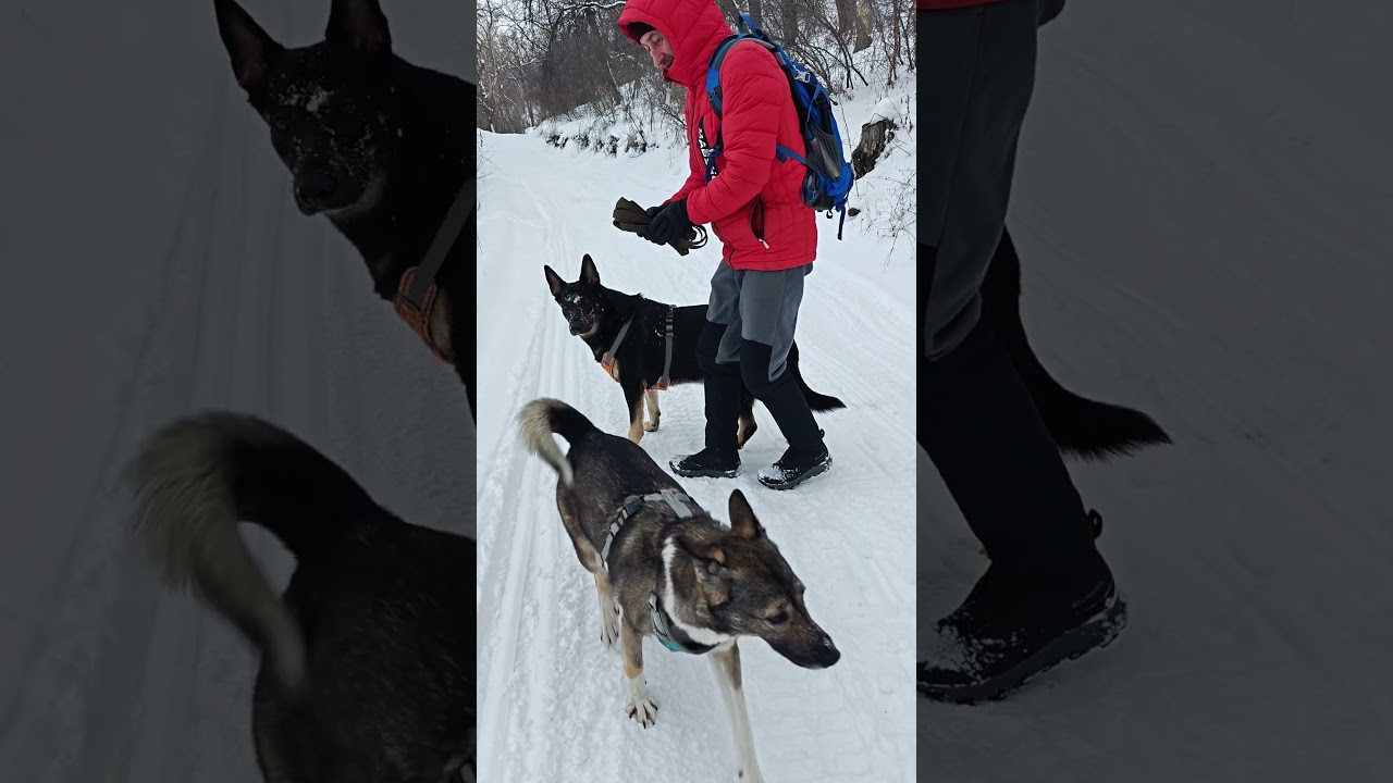 Гердуся в своëм репертуаре