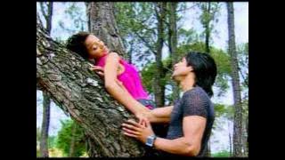 Do Bol Kehke Hum To Haare [Full Song] Saajan Mera Us Paar Hai