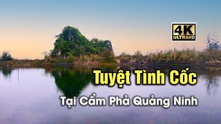 Full Tuyệt Tình Cốc Tại Cẩm Phả Quảng Ninh | Video 4k News
