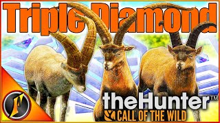 Oh Baby a Triple! 😂 | THREE Diamond Ibex on Cuatro Colinas! | theHunter Call of the Wild