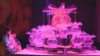 優雅に泳ぐ「芸術品」 東京で金魚アート展