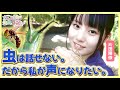 【虫探し】虫オタクが生い立ちや想いを語ります。
