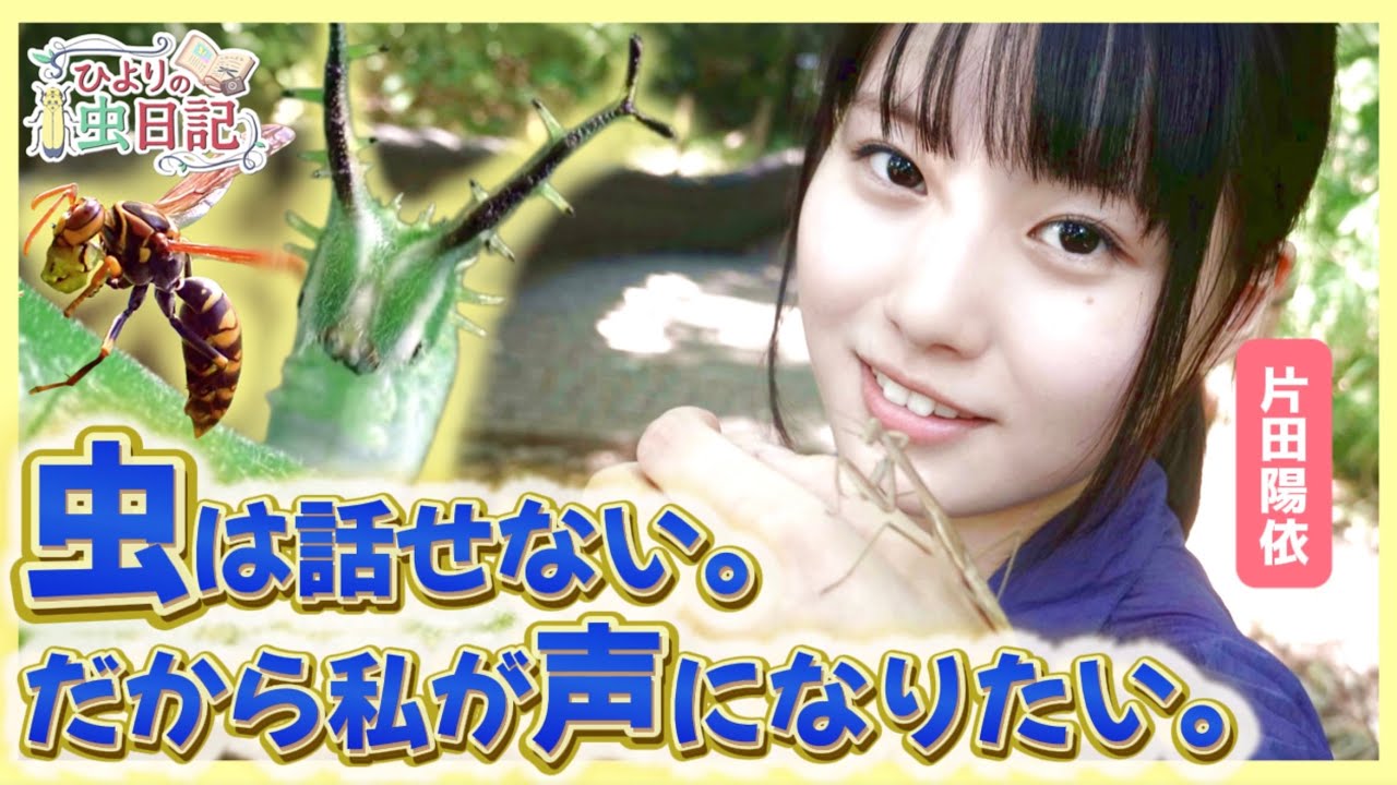 【虫探し】虫オタクが生い立ちや想いを語ります。