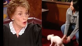 Judge Judy Solves Dog Dispute In Seconds (VIDEO)