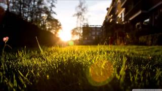 Too Insistent  - The DÃ Remix TRUMAN